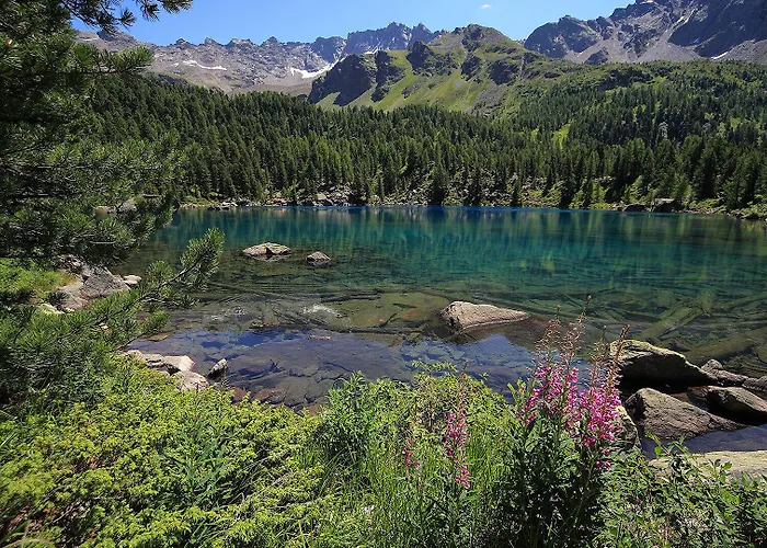 Historic Albrici 3* بوشيافو